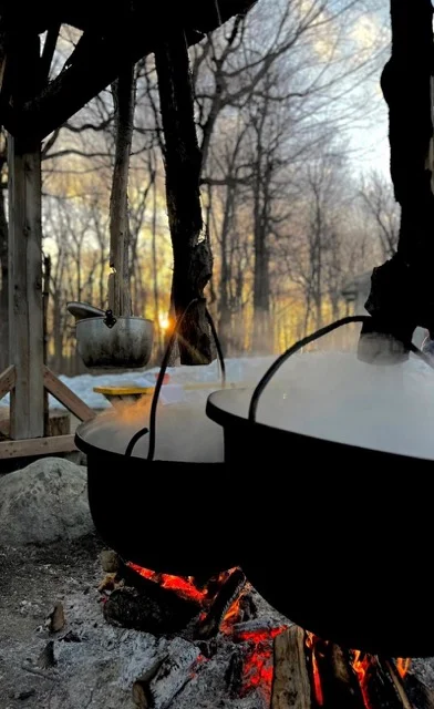 Marmites chauffées sur un feu dans une forêt québécoise enneigée