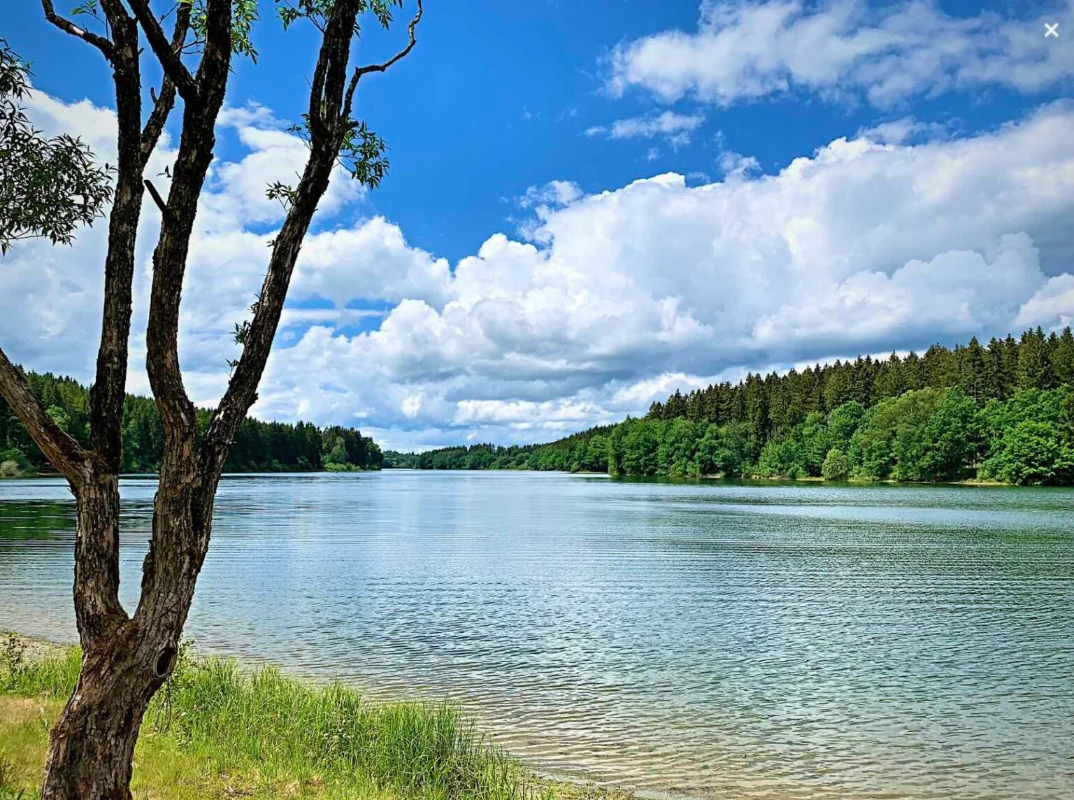 Lac de Bütgenbach entouré de forêts dans les Cantons de l’Est
