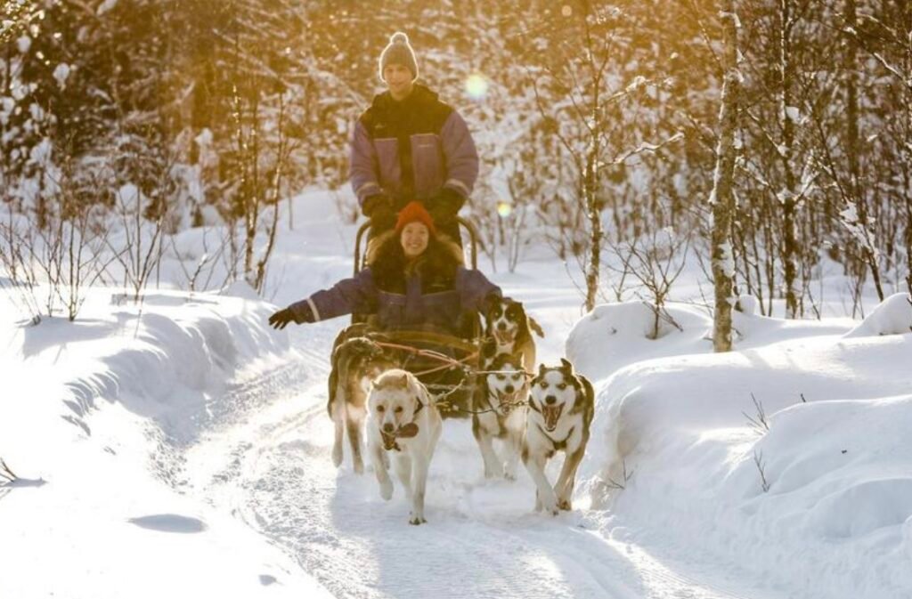 Escapade à Ylläsrinne : Découvrez la Laponie Finlandaise Authentique