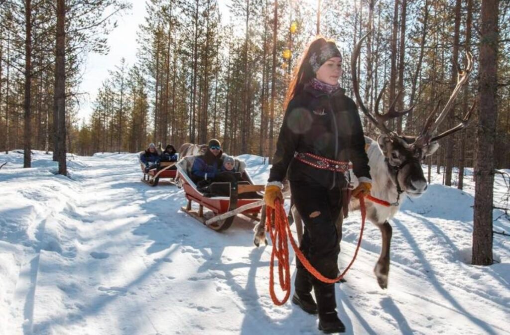 Escapade à Ylläsrinne : Découvrez la Laponie Finlandaise Authentique